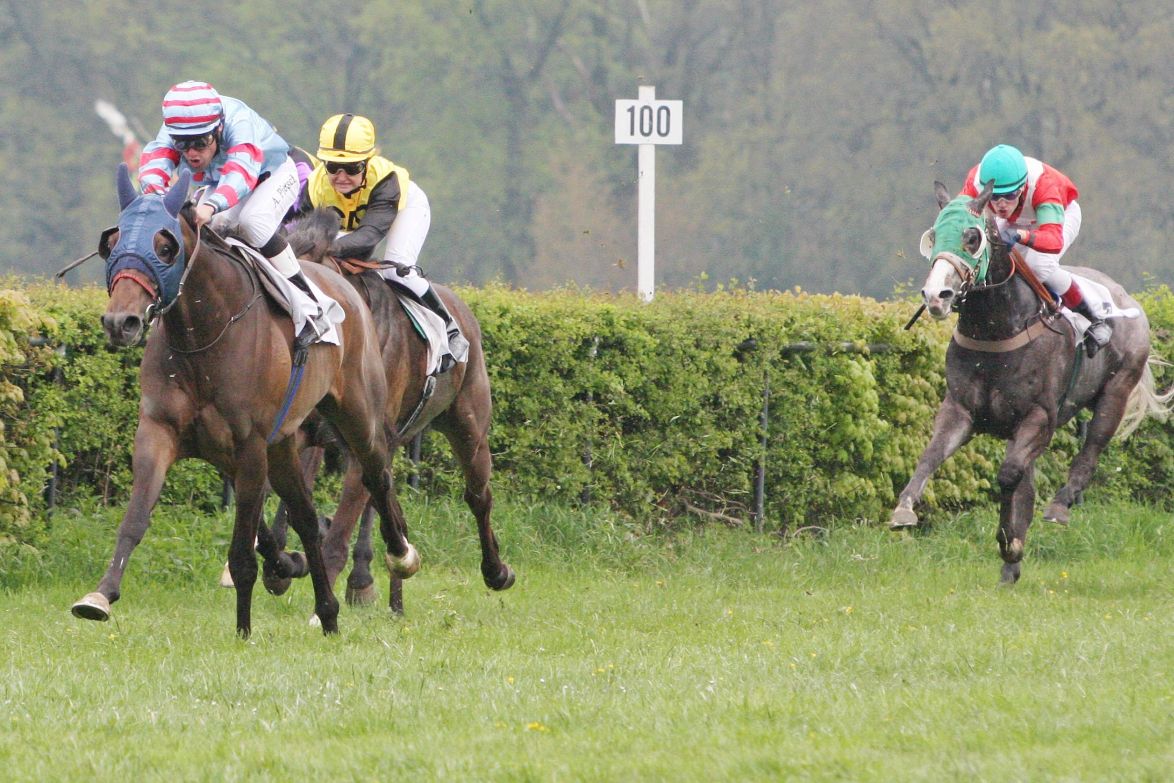 Rennbahn Gotha Boxberg