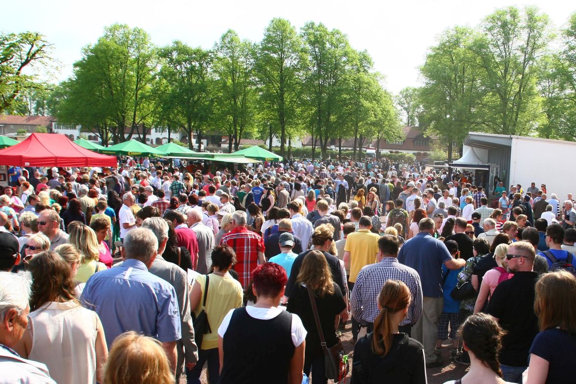 Rennbahn Magdeburg