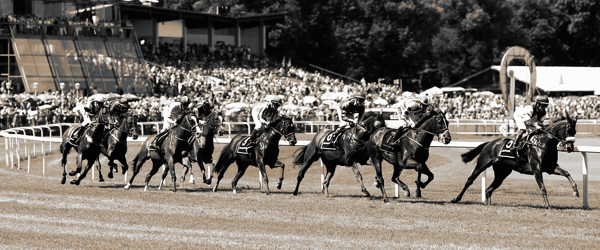 Lady Luck Galopp in München