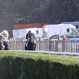 Rennen in Hoppegarten - Vorschau