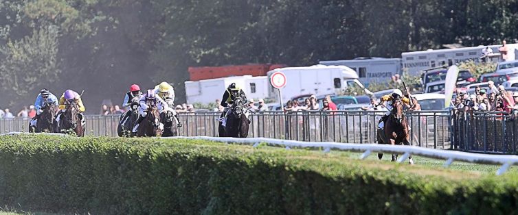 Rennen in Hoppegarten - Vorschau