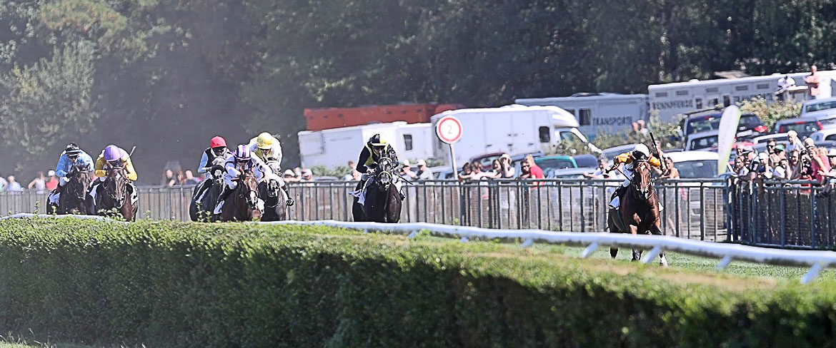 Rennen in Hoppegarten - Vorschau